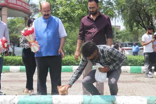 Swami Devi Dyal Group of Professional Institutions Panchkula Extra Curriculars photo 23