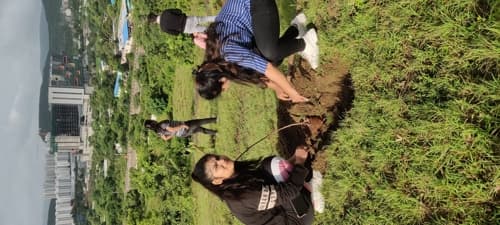 Dr DY Patil Institute of Management & Research Pimpri Rotaract photo 1