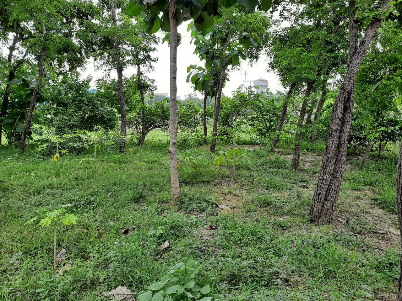 Mahadeva Lal Schroff College of Pharmacy Aurangabad Infrastructure photo 3