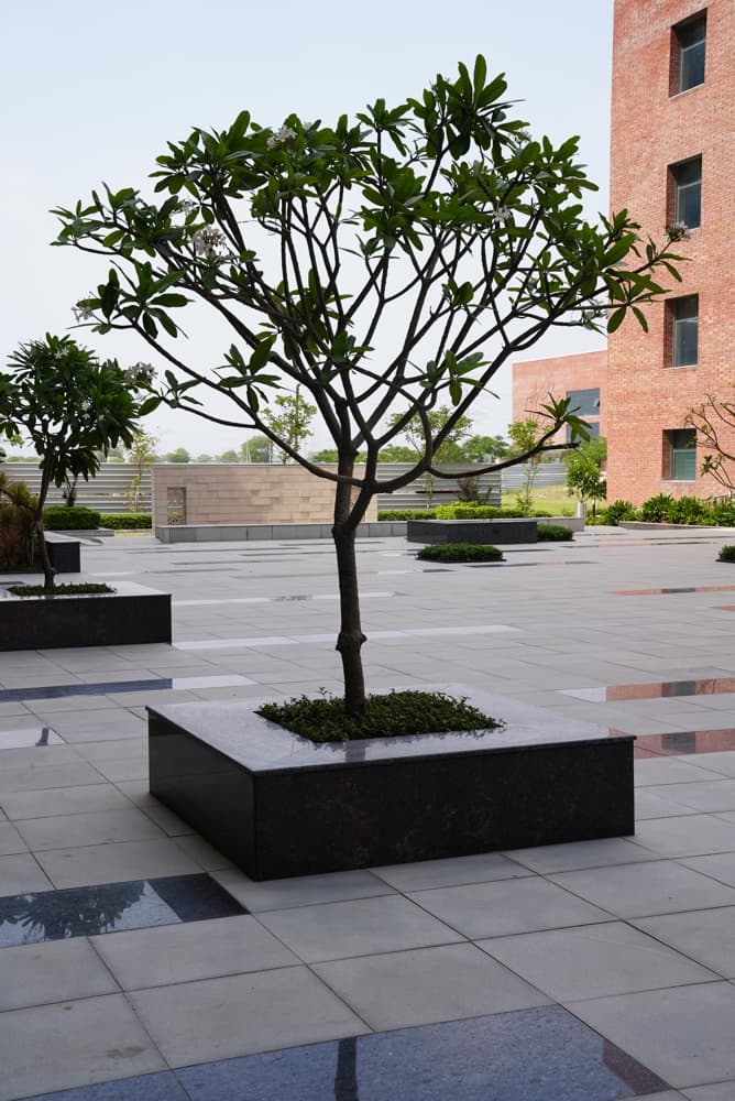 Newton School of Technology Sonepat Infrastructure photo 8