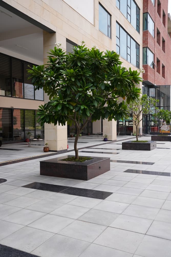 Newton School of Technology Sonepat Infrastructure photo 11