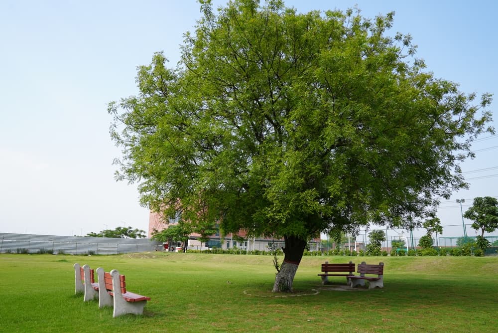 Newton School of Technology Sonepat Infrastructure photo 76