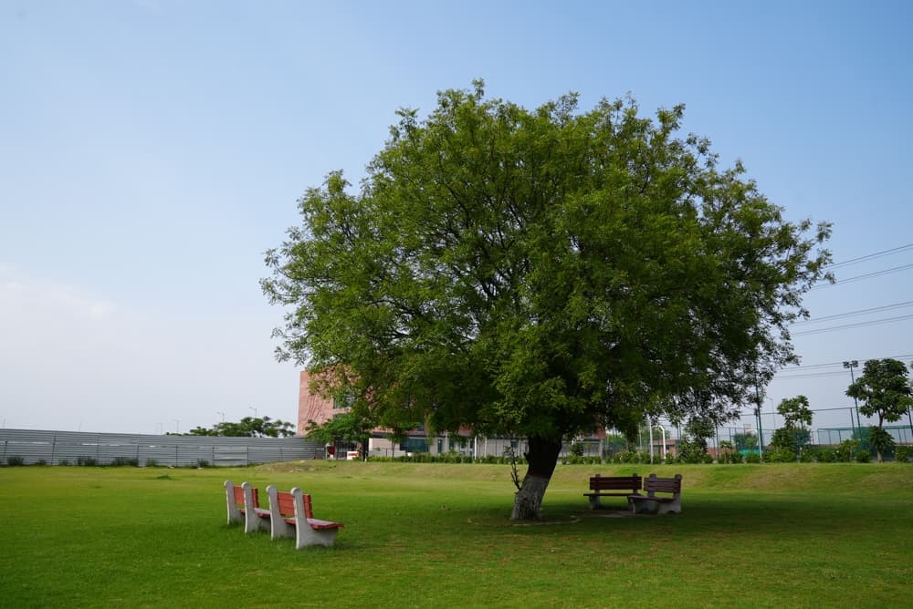 Newton School of Technology Sonepat Infrastructure photo 77