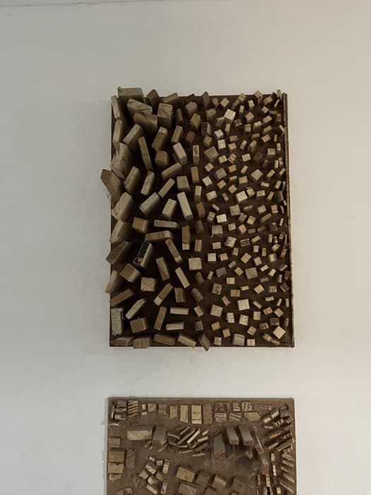 Newton School of Technology Sonepat Infrastructure photo 157