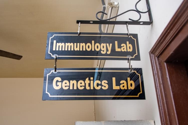 Bengal Institute of Technology Kolkata Campus Life and Infrastructure photo 61