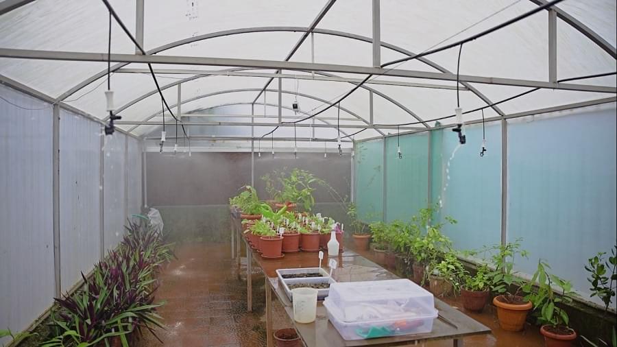 DY Patil Deemedtobe University, School of Biotechnology and Bioinformatics Navi Mumbai Campus photo 2