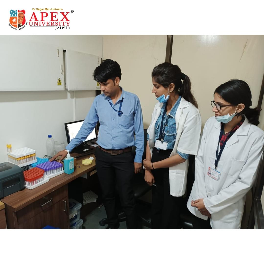 Apex University Jaipur Campus photo 37