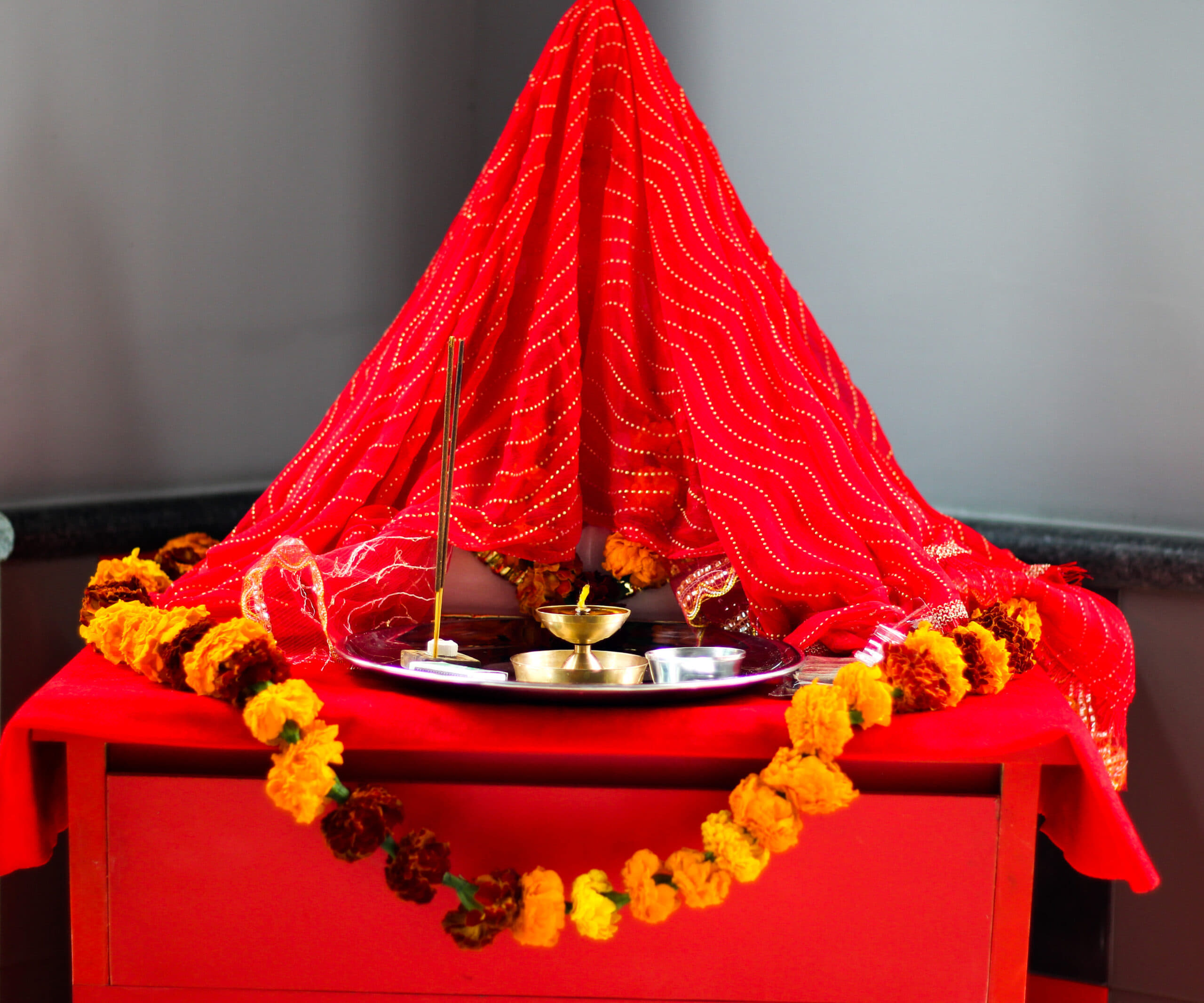 Rishihood University Sonepat Annpurna Maa photo 1