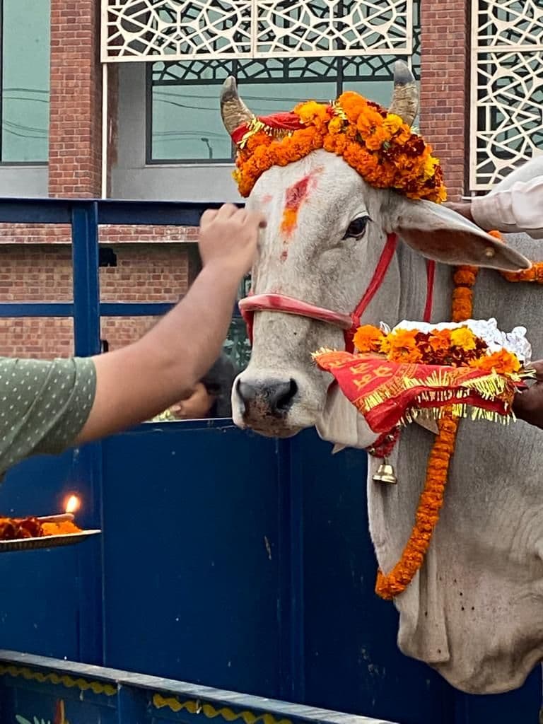 Rishihood University Sonepat Gopashtami Pujan photo 1