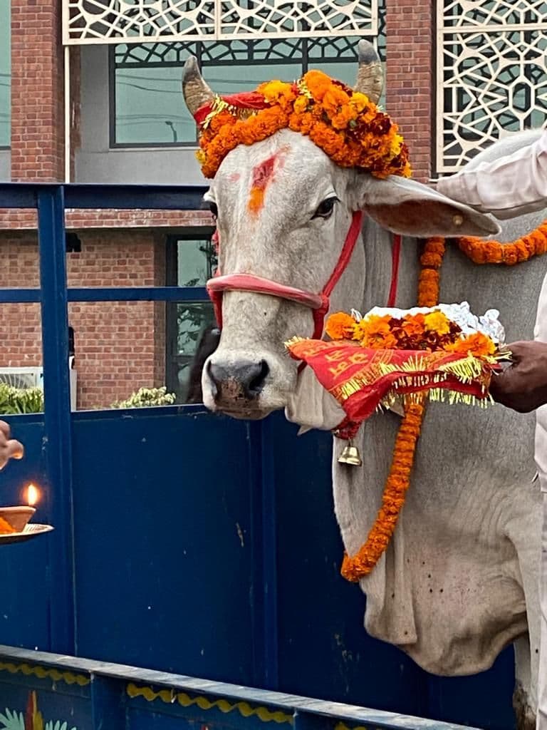 Rishihood University Sonepat Gopashtami Pujan photo 3