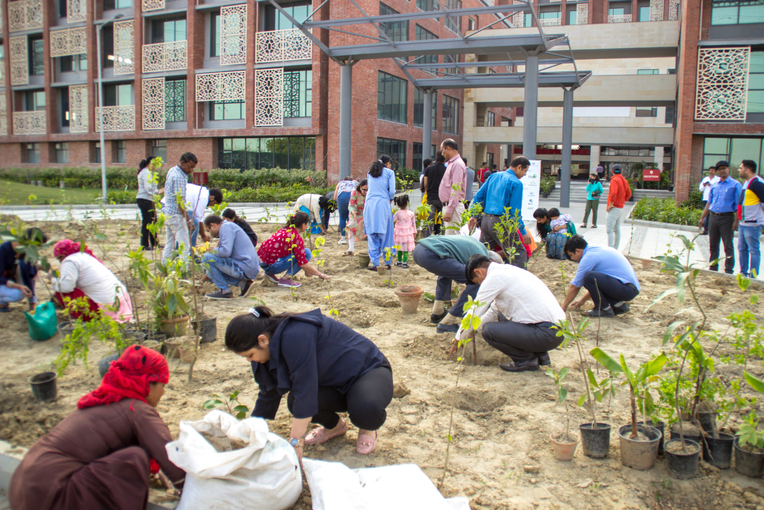 Rishihood University Sonepat Miyawaki Forest photo 2