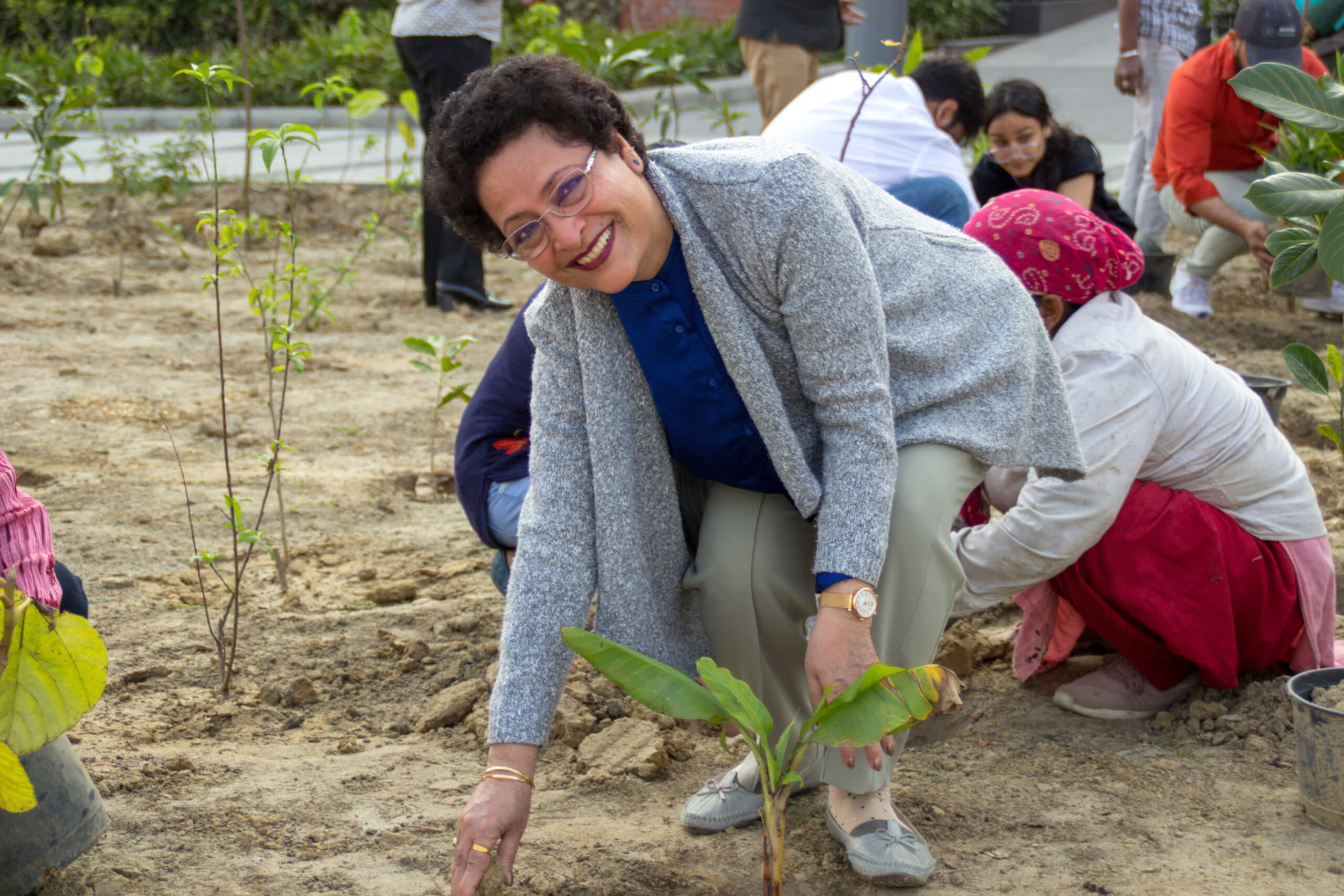Rishihood University Sonepat Miyawaki Forest photo 3
