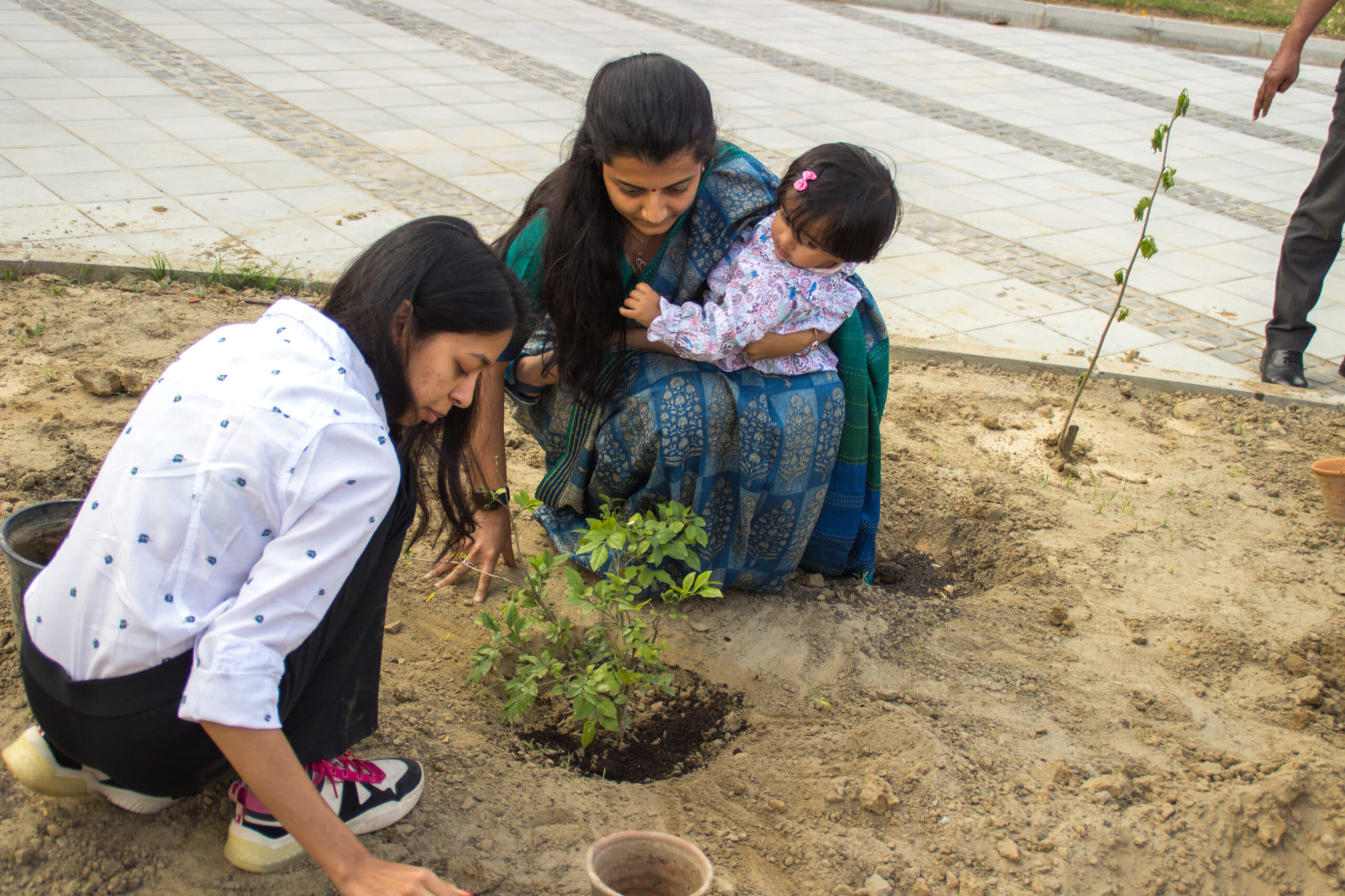 Rishihood University Sonepat Miyawaki Forest photo 5