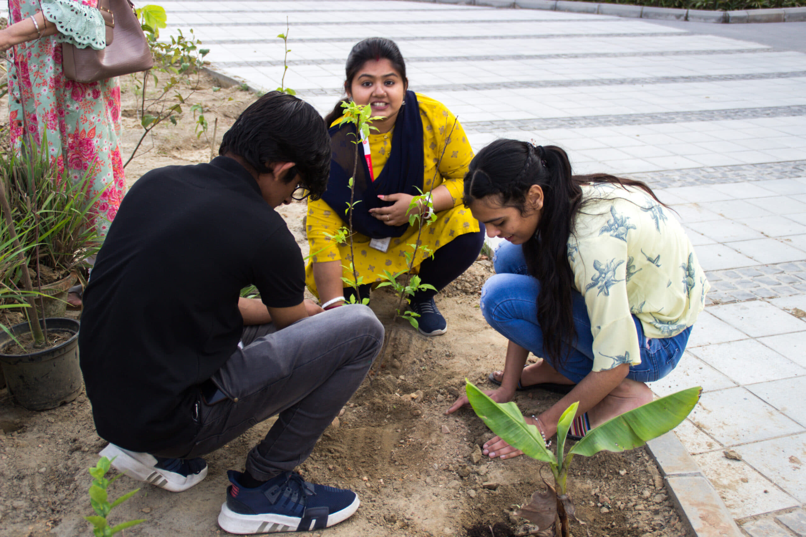 Rishihood University Sonepat Miyawaki Forest photo 6