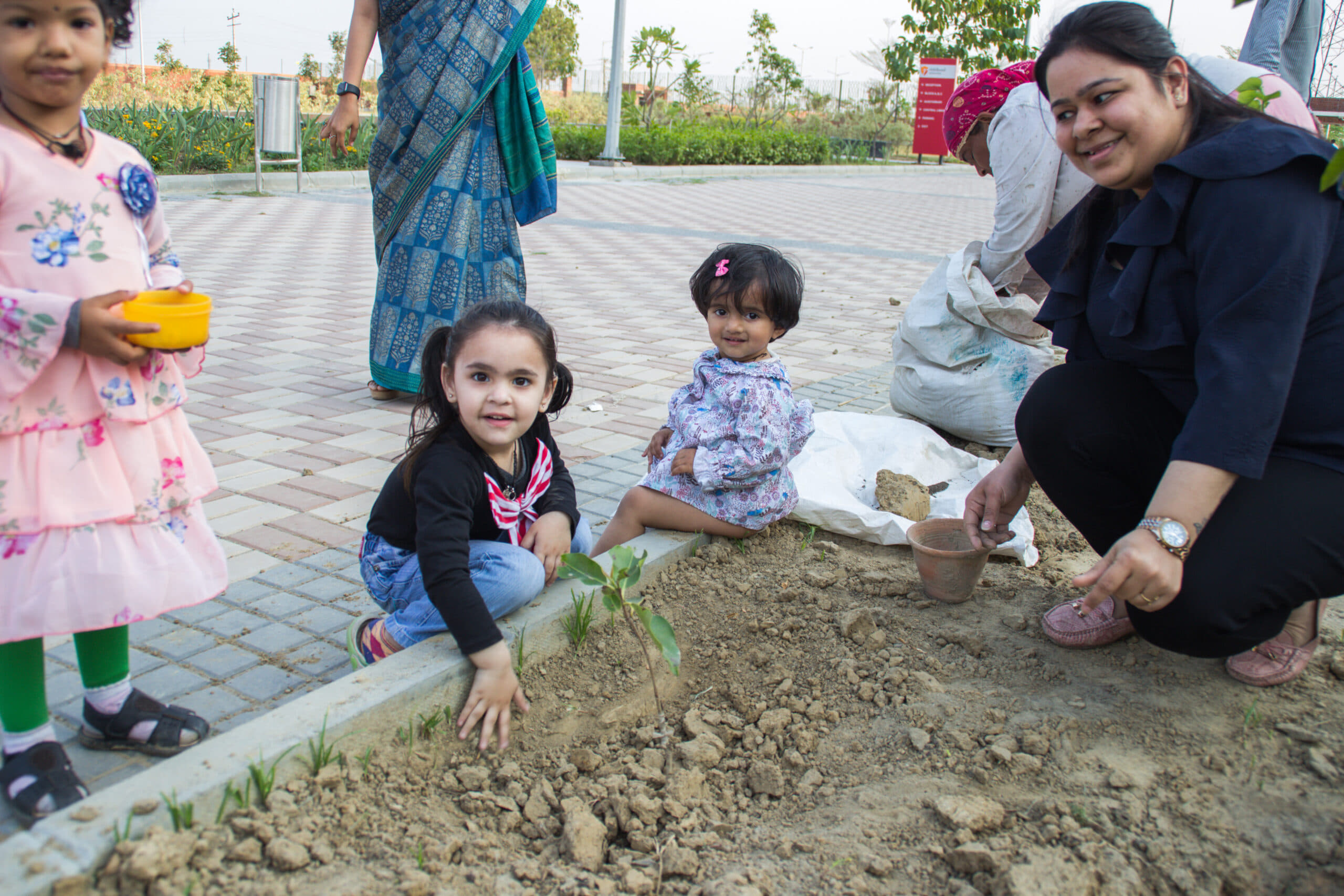 Rishihood University Sonepat Miyawaki Forest photo 7