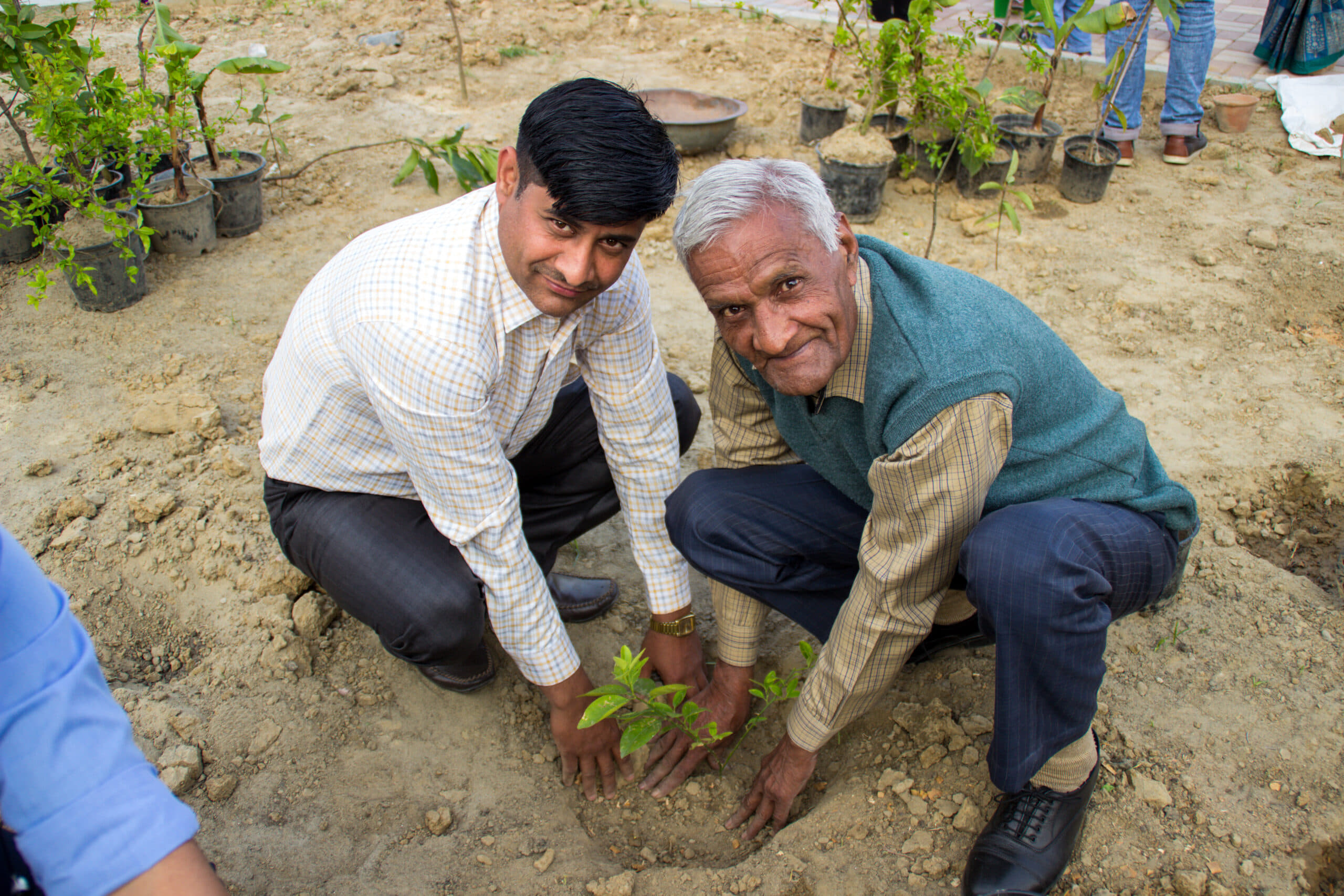 Rishihood University Sonepat Miyawaki Forest photo 8