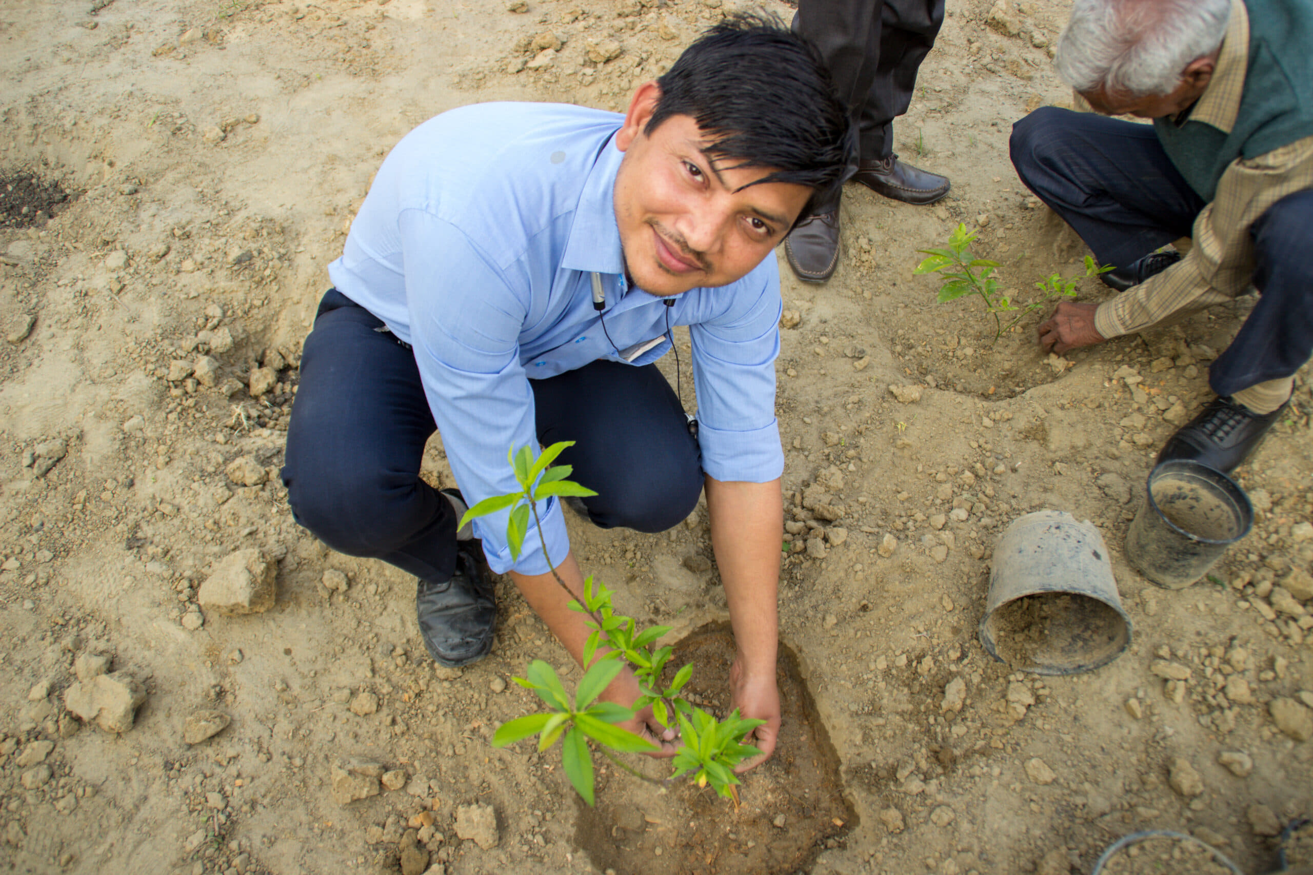 Rishihood University Sonepat Miyawaki Forest photo 9