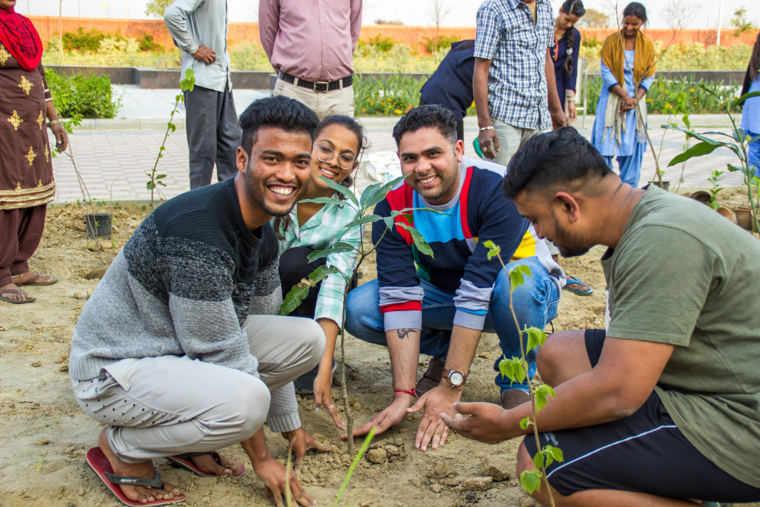 Rishihood University Sonepat Miyawaki Forest photo 10