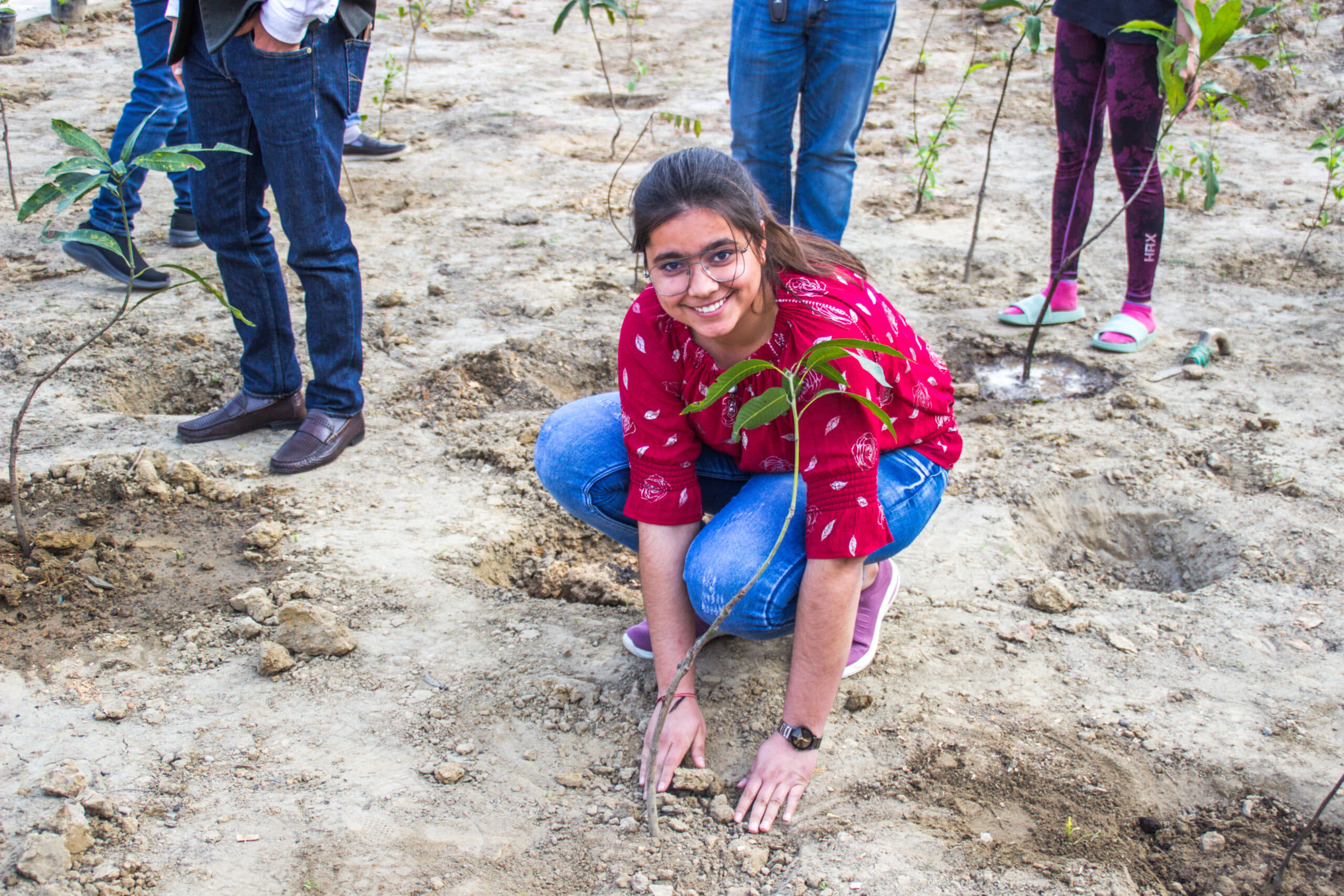 Rishihood University Sonepat Miyawaki Forest photo 11
