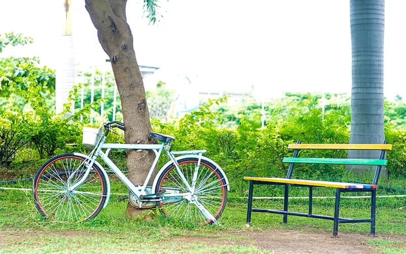 Kalinga University Raipur Academic Building photo 13