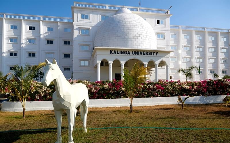 Kalinga University Raipur Academic Building photo 14