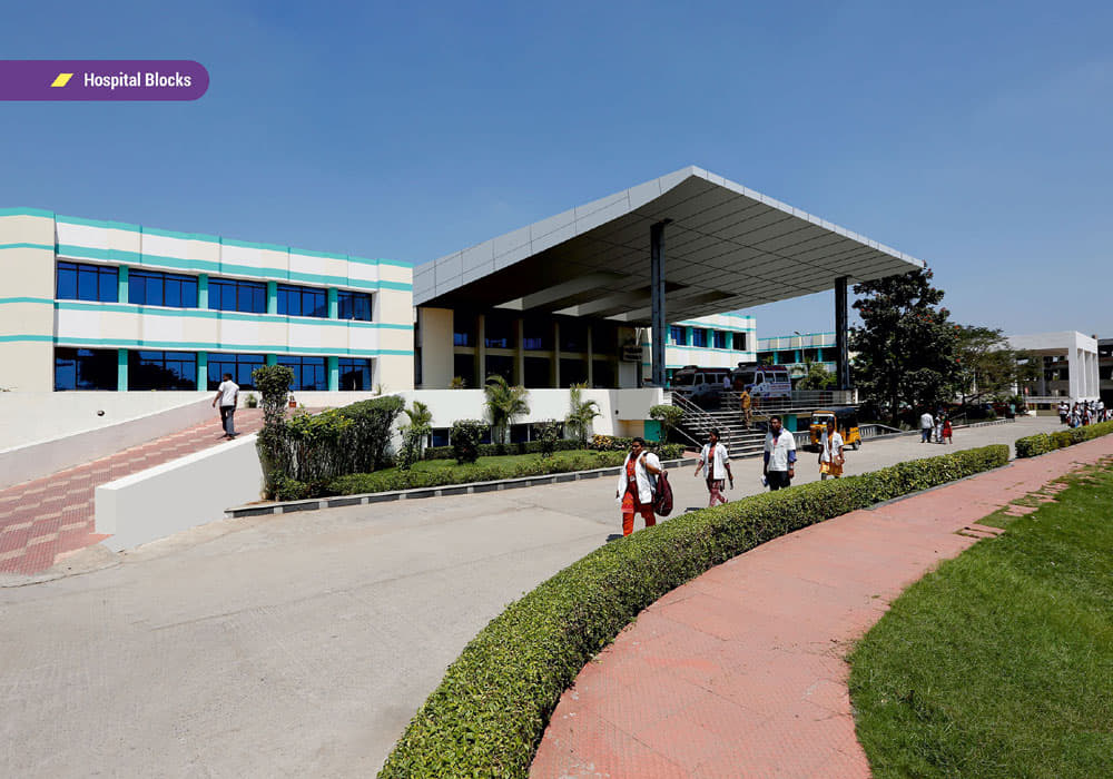 Thai Moogambigai Dental College and Hospital Chennai Academic Building photo 3