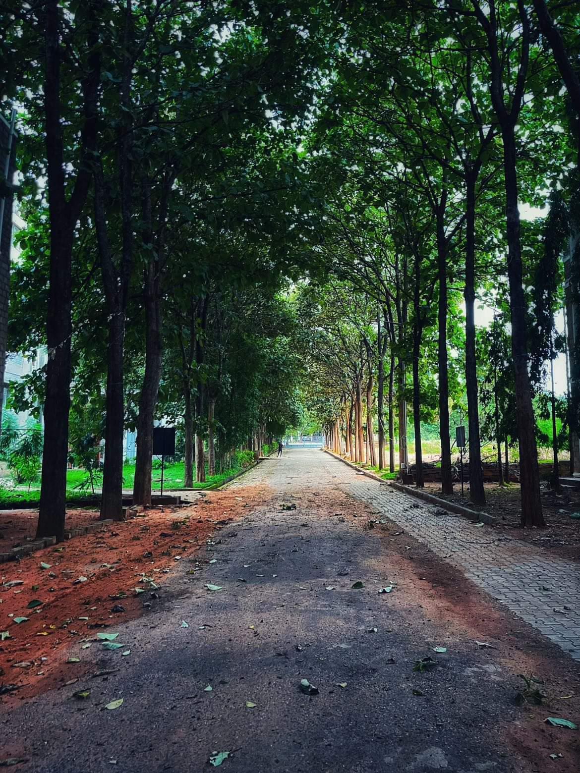 Krishnadevaraya College of Dental Sciences & Hospital Bangalore Infrastructure photo 4