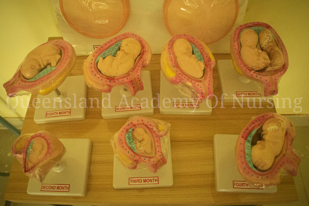 Queensland Academy of Nursing Howrah Some Moments photo 17