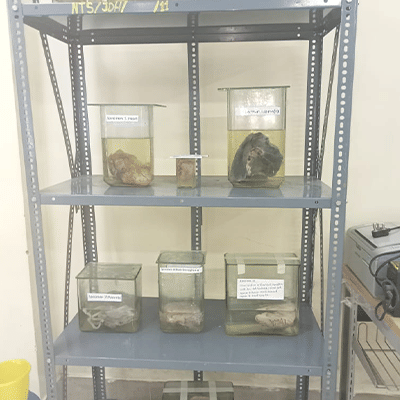 Jhargram Government Medical College Facilities photo 1