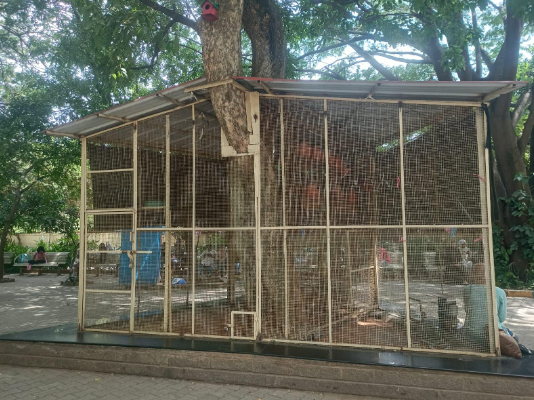 Bishop Cotton Women's Christian Law College Bangalore Infrastructure photo 5