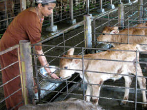 Verghese Kurien Institute of Dairy and Food Technology Thrissur Event photo 2