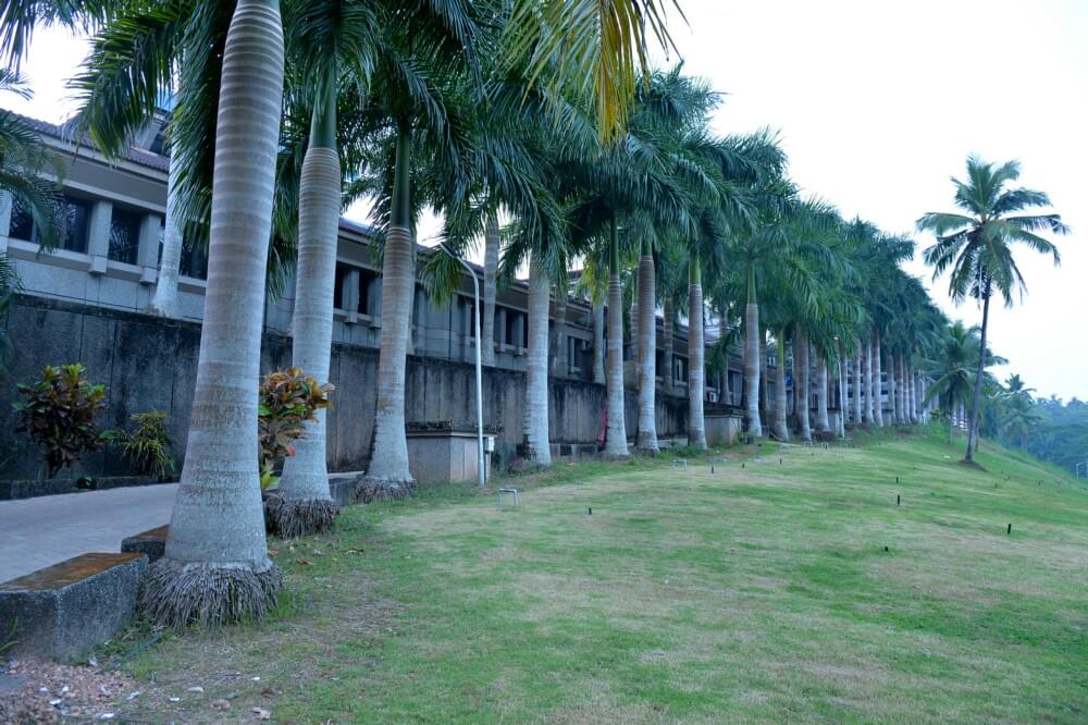 Malabar Cancer Centre Thalasery Some Moments photo 5