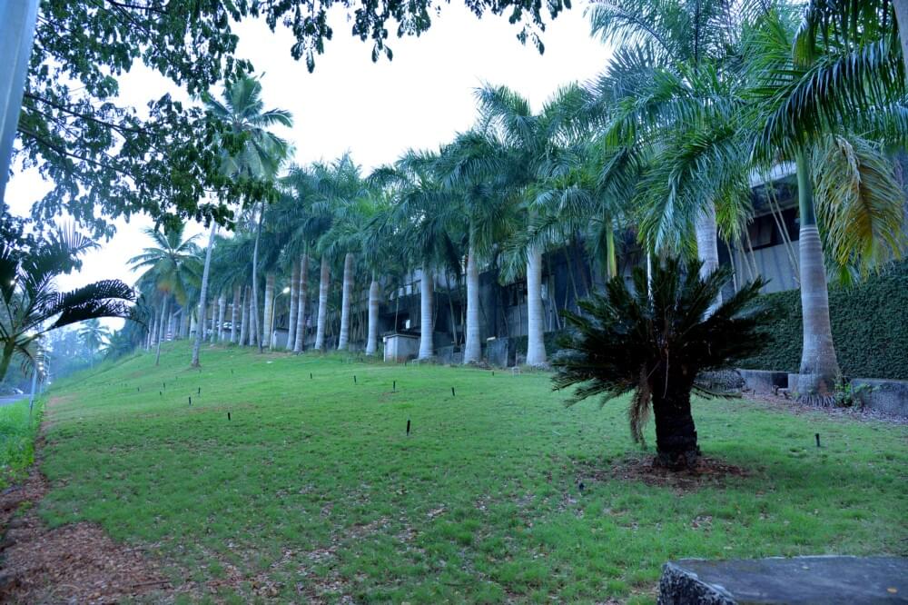 Malabar Cancer Centre Thalasery Some Moments photo 11