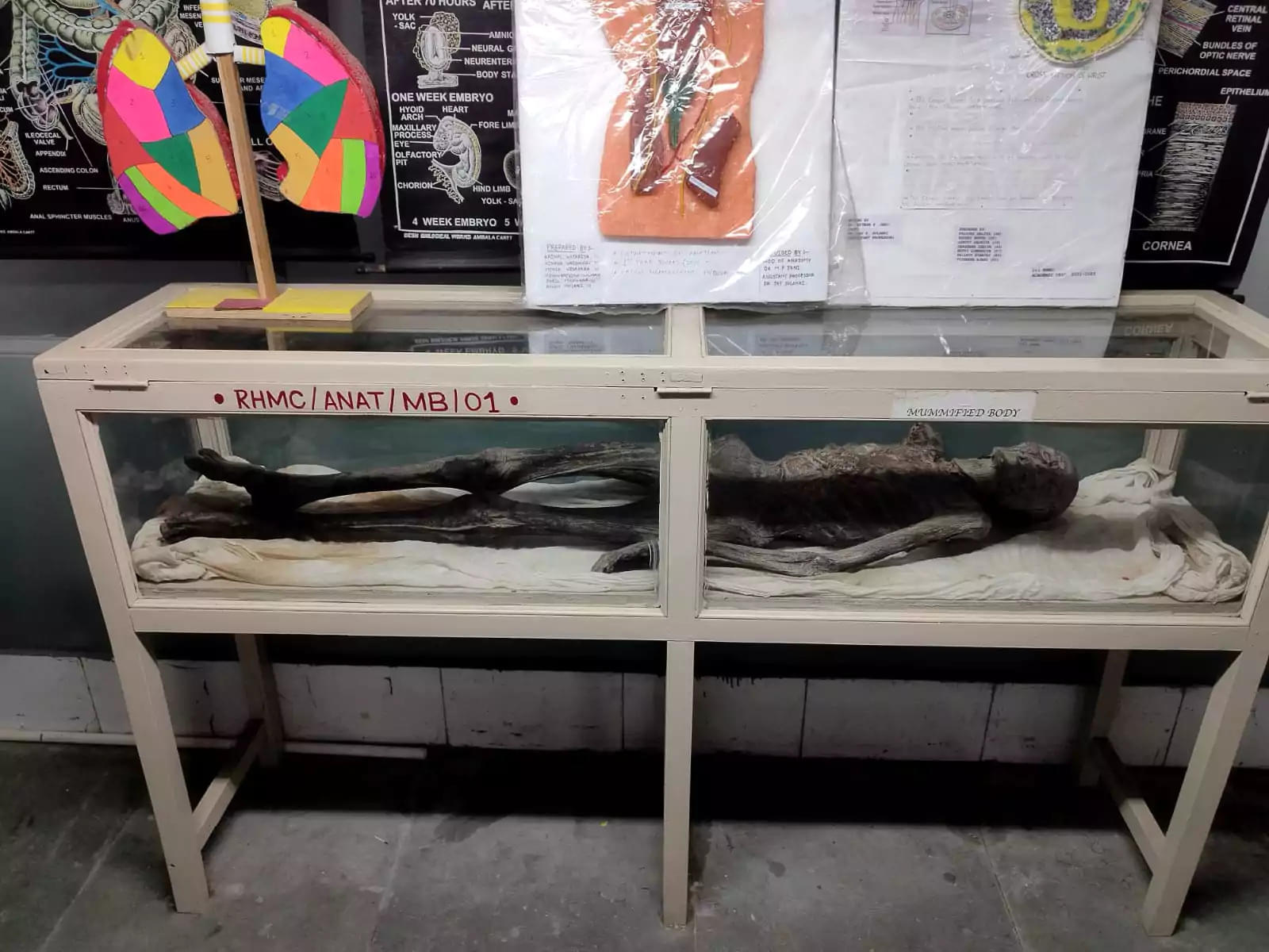 Rajkot Homoeopathic Medical College Campus photo 2