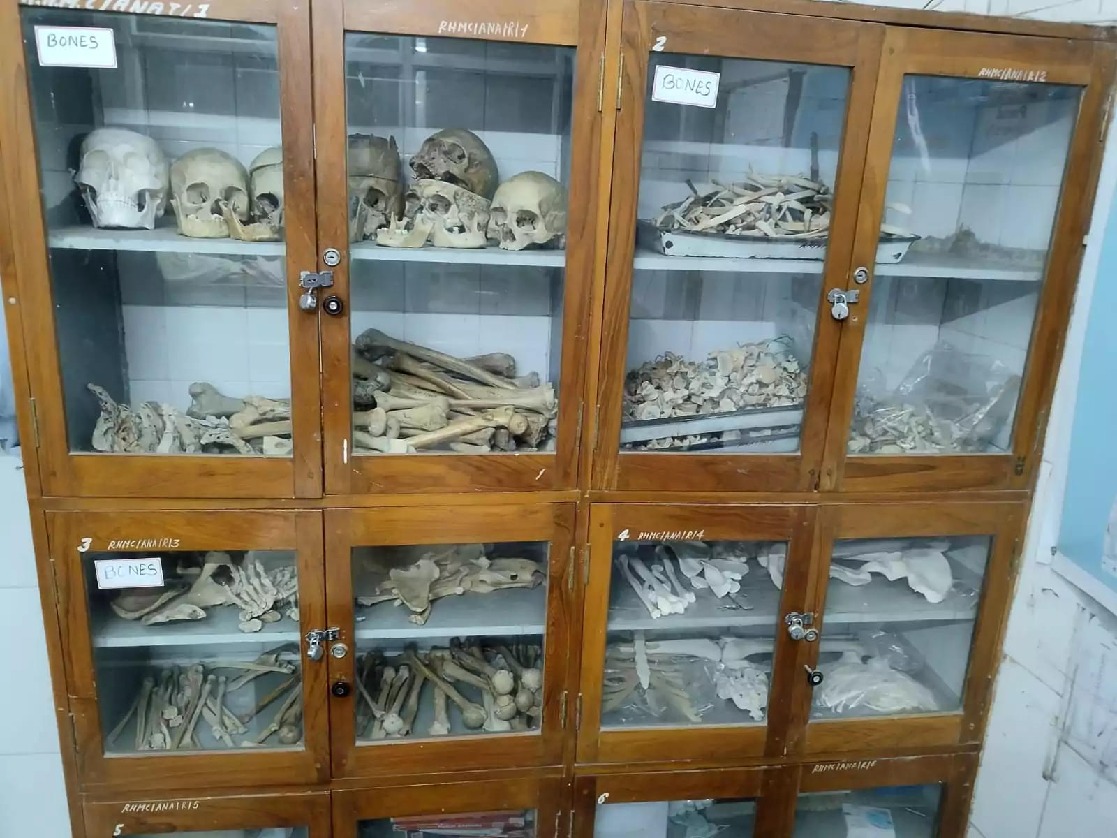 Rajkot Homoeopathic Medical College Campus photo 4