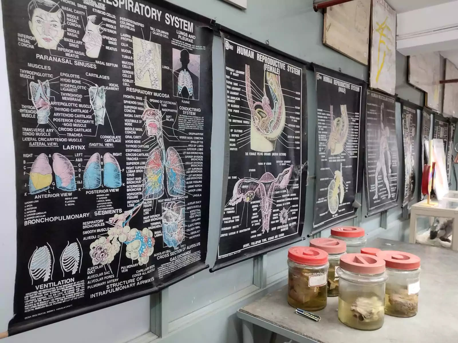 Rajkot Homoeopathic Medical College Campus photo 5