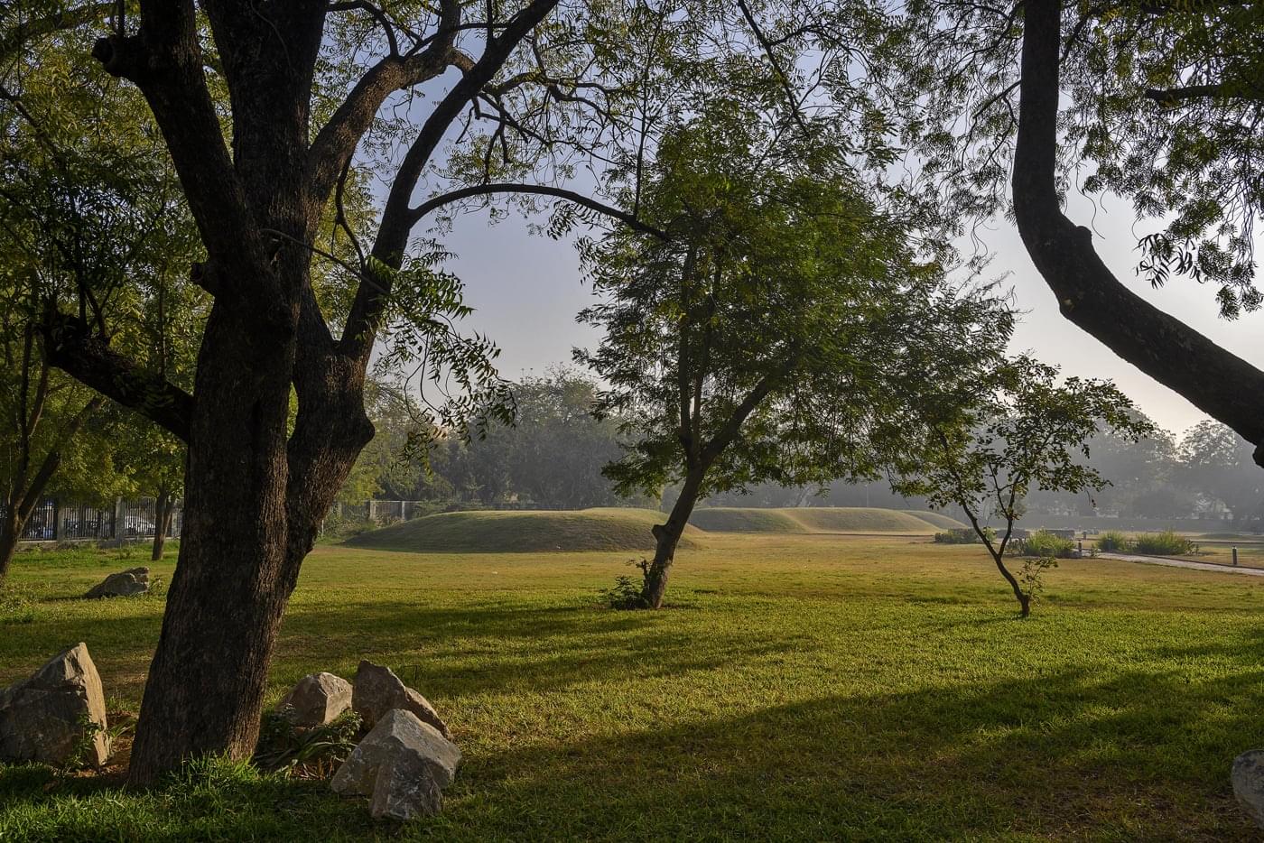 Ahmedabad University Campus photo 8
