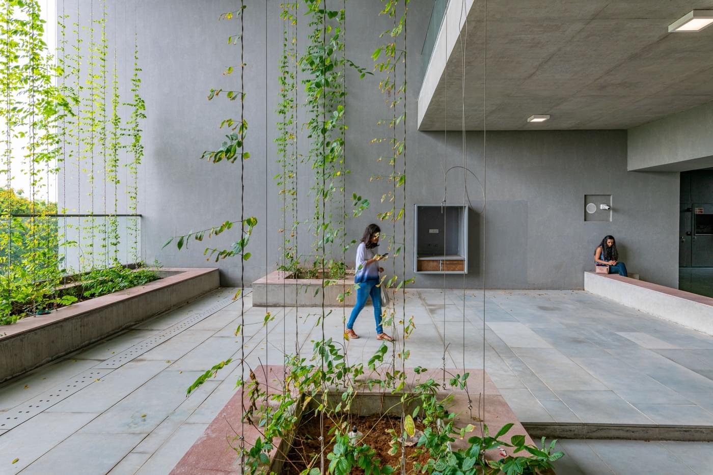 Ahmedabad University Campus photo 10