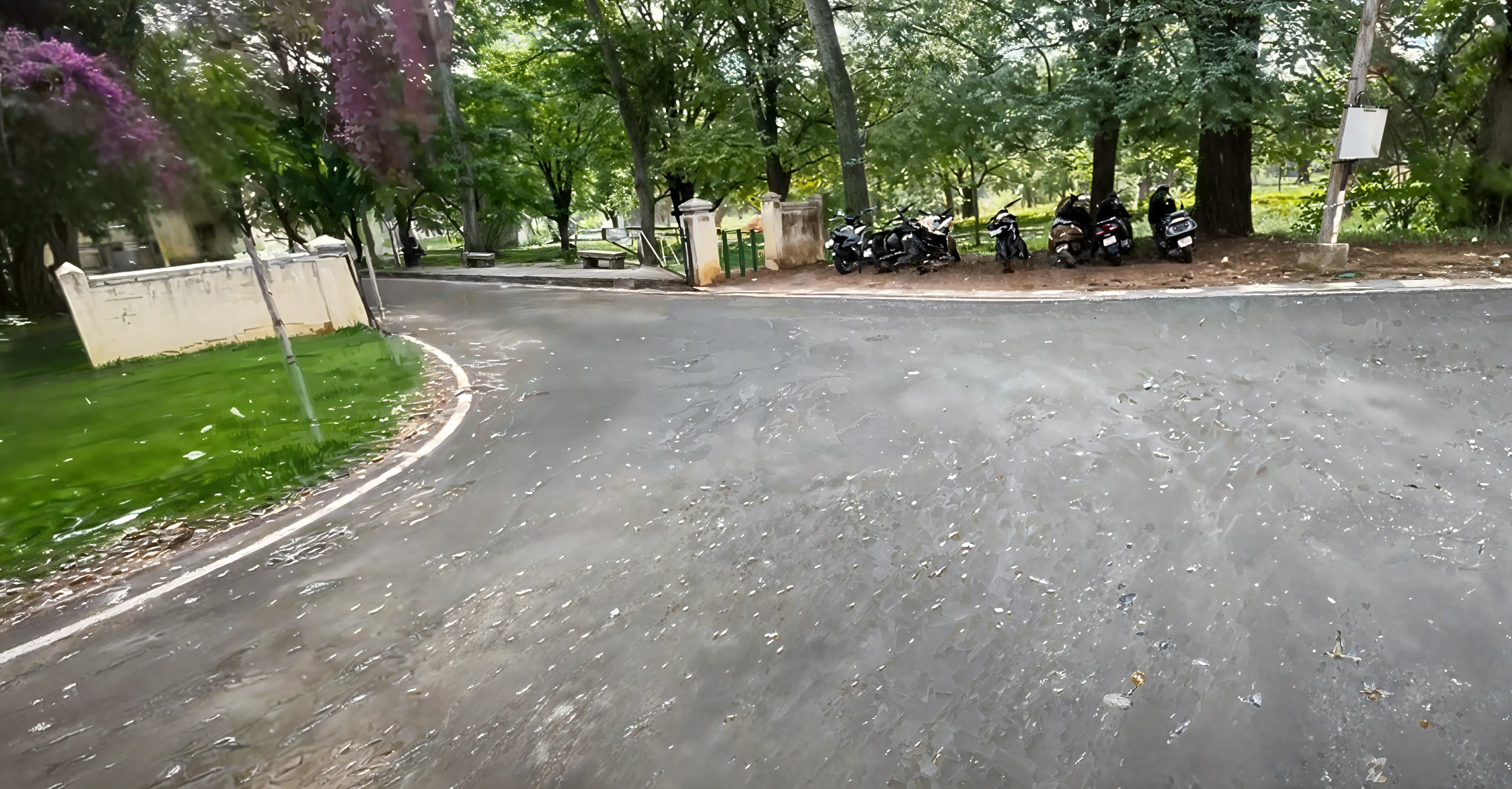 Yuvaraja's College Mysore Campus photo 14