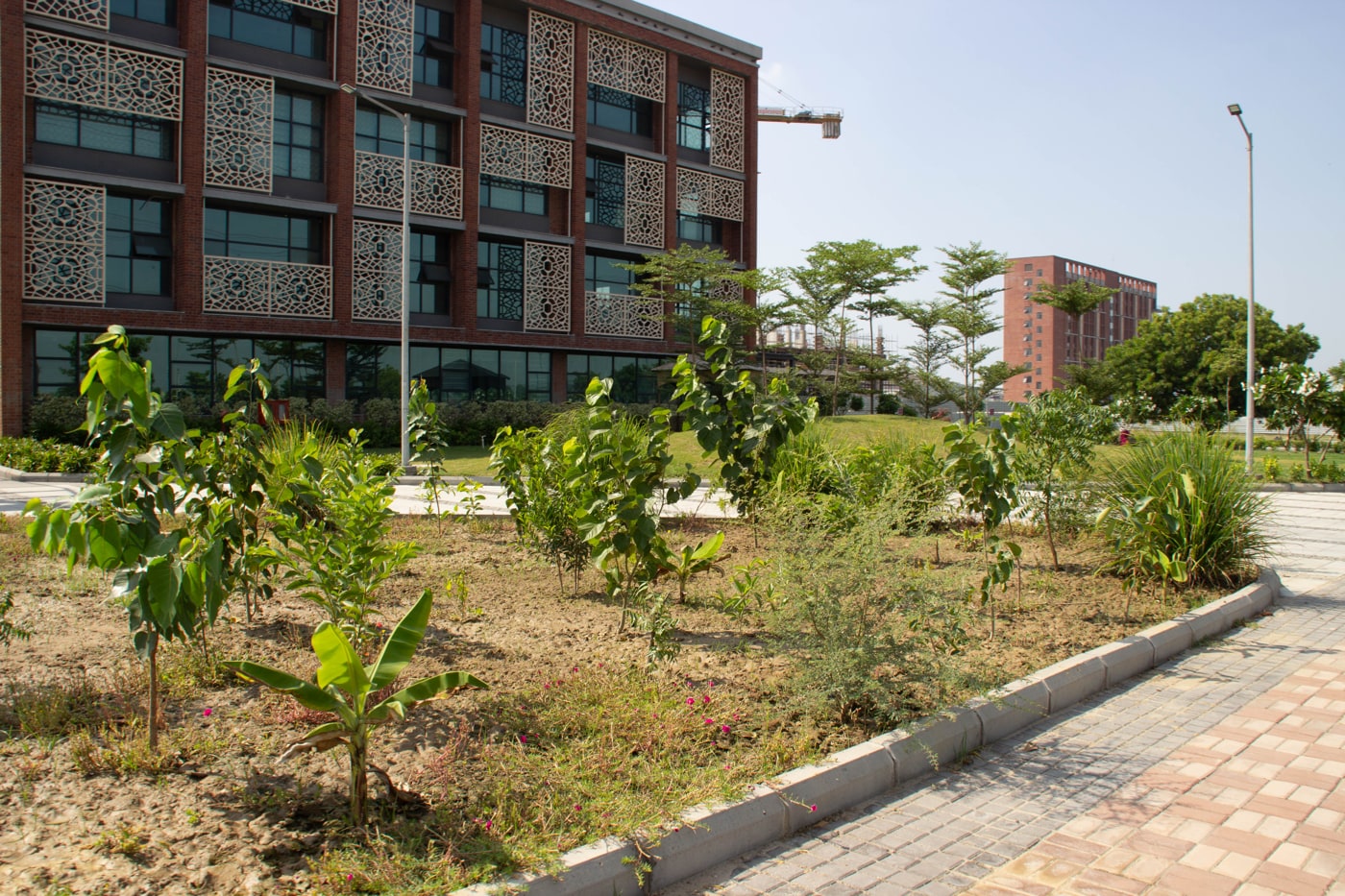 Rishihood University Sonepat Infrastructure photo 118