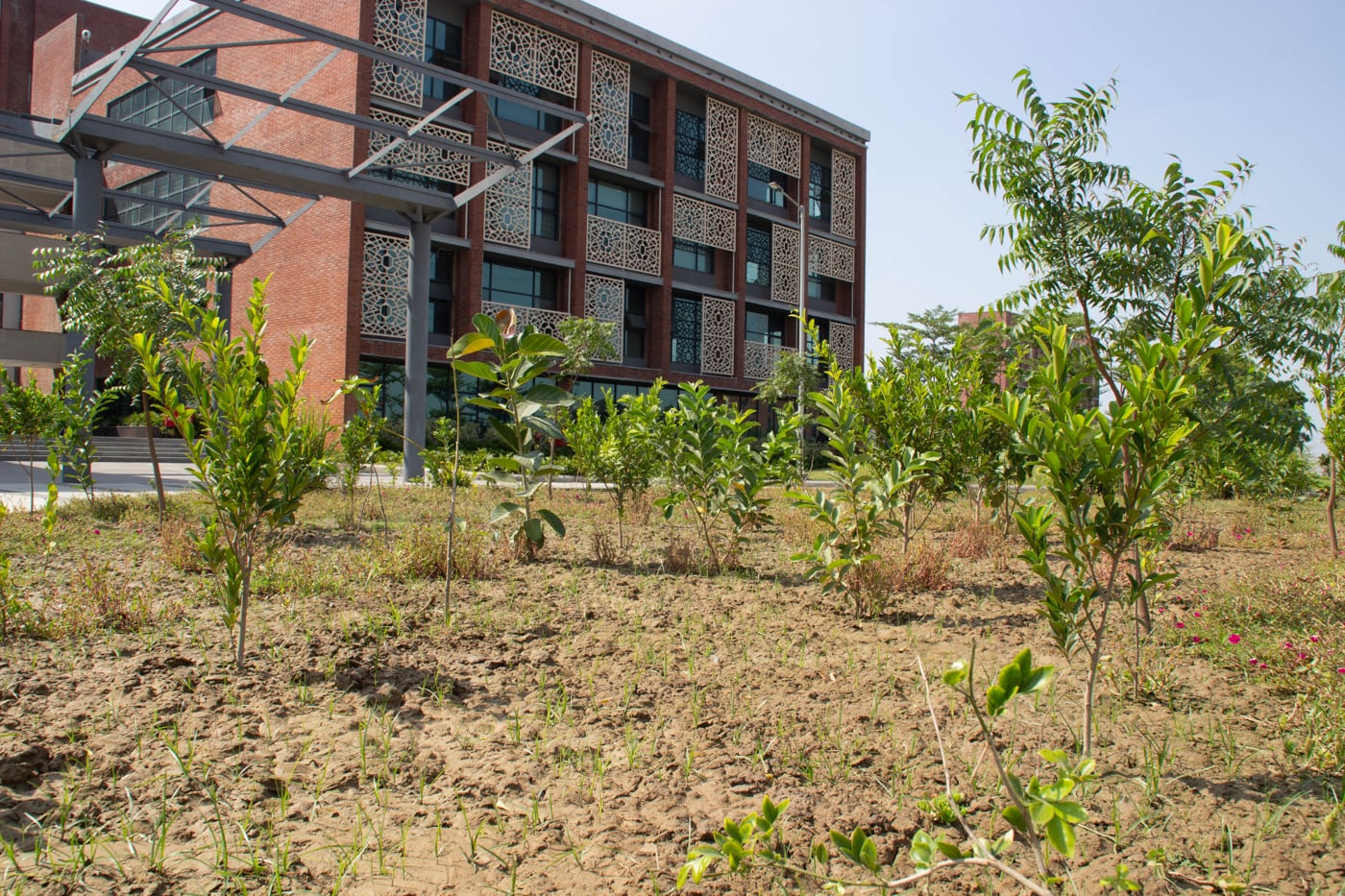 Rishihood University Sonepat Infrastructure photo 116