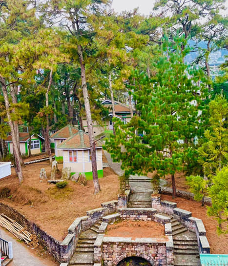 NLU Meg Campus photo 2