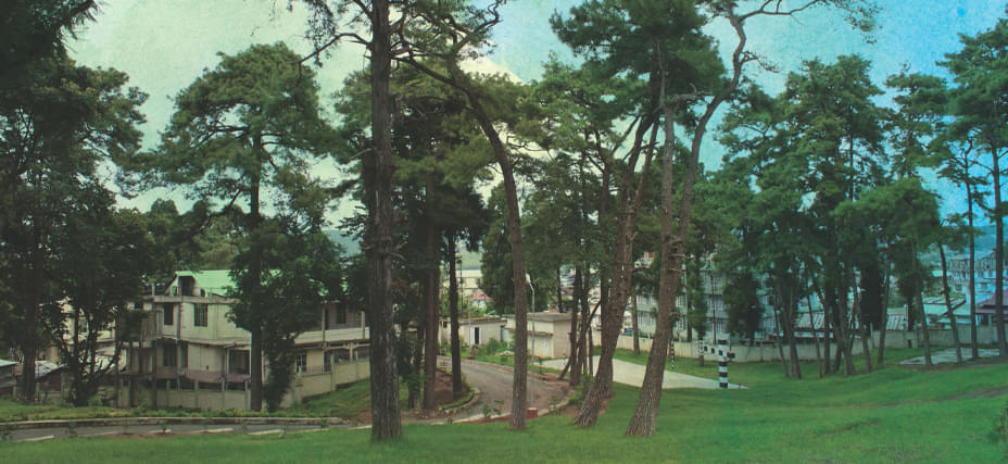 NLU Meg Campus photo 1