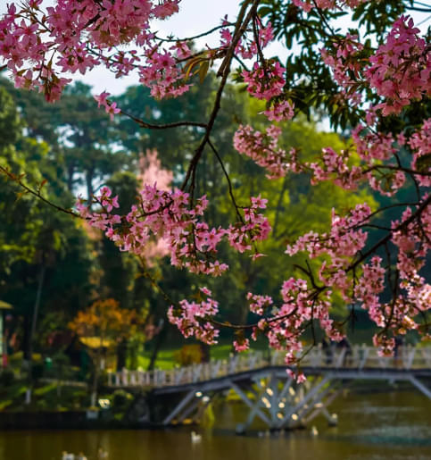 NLU Meg Campus photo 4