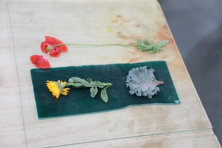 O.P. Jindal Global University Infrastructure photo 44