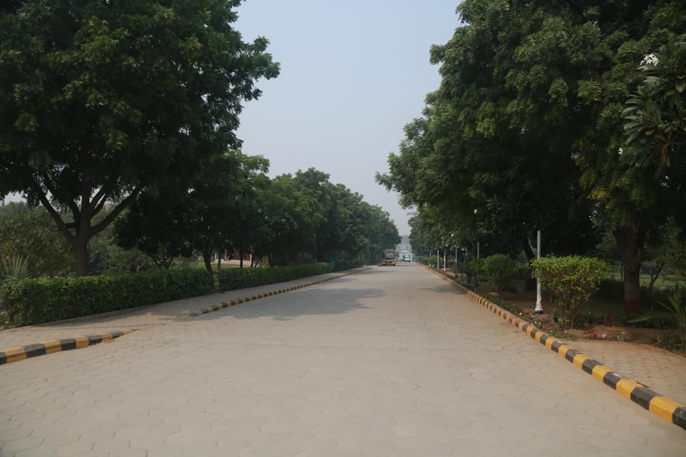 O.P. Jindal Global University Campus photo 83