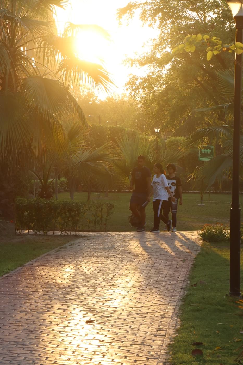 O.P. Jindal Global University Campus photo 165