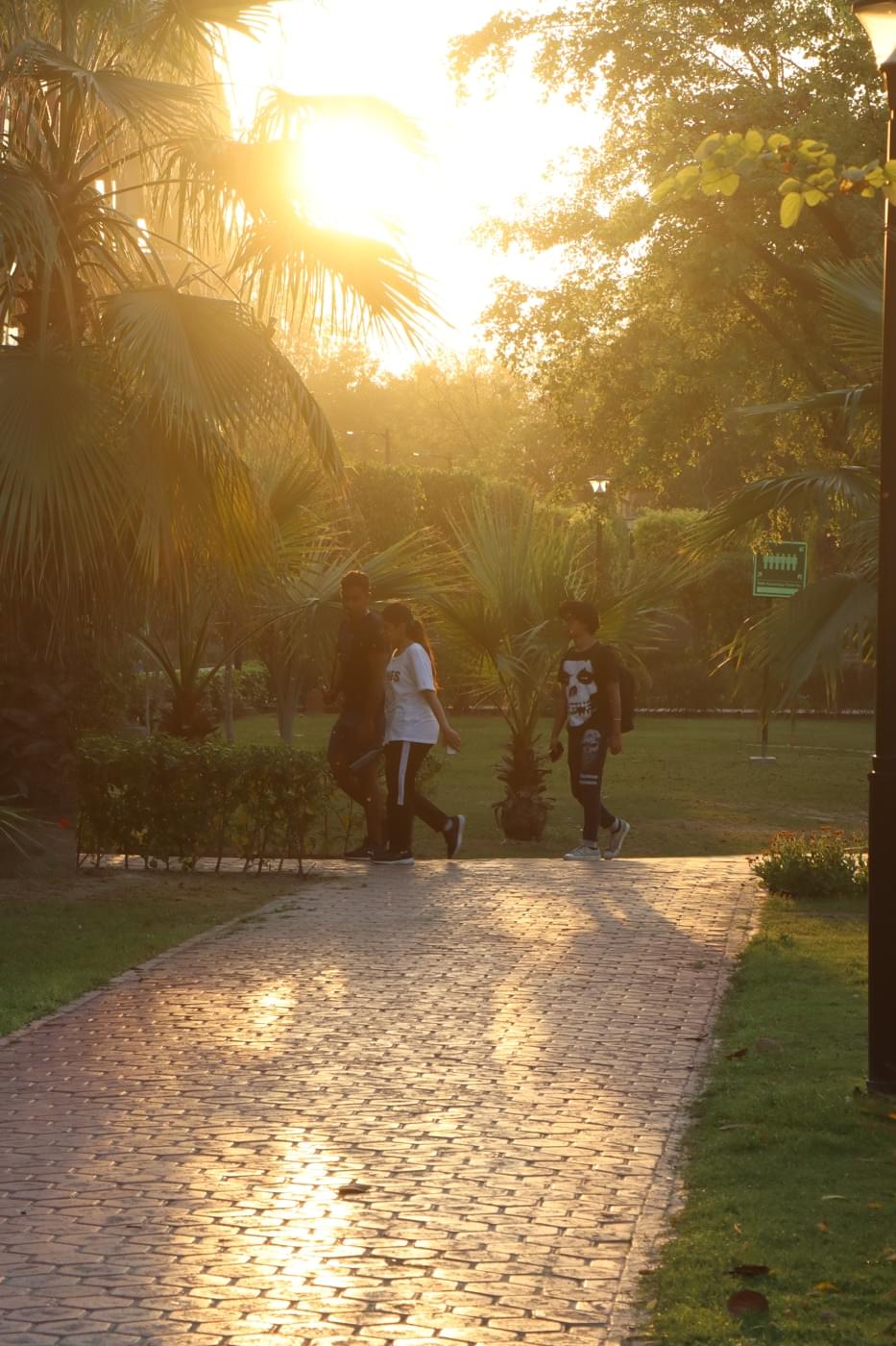 O.P. Jindal Global University Campus photo 166