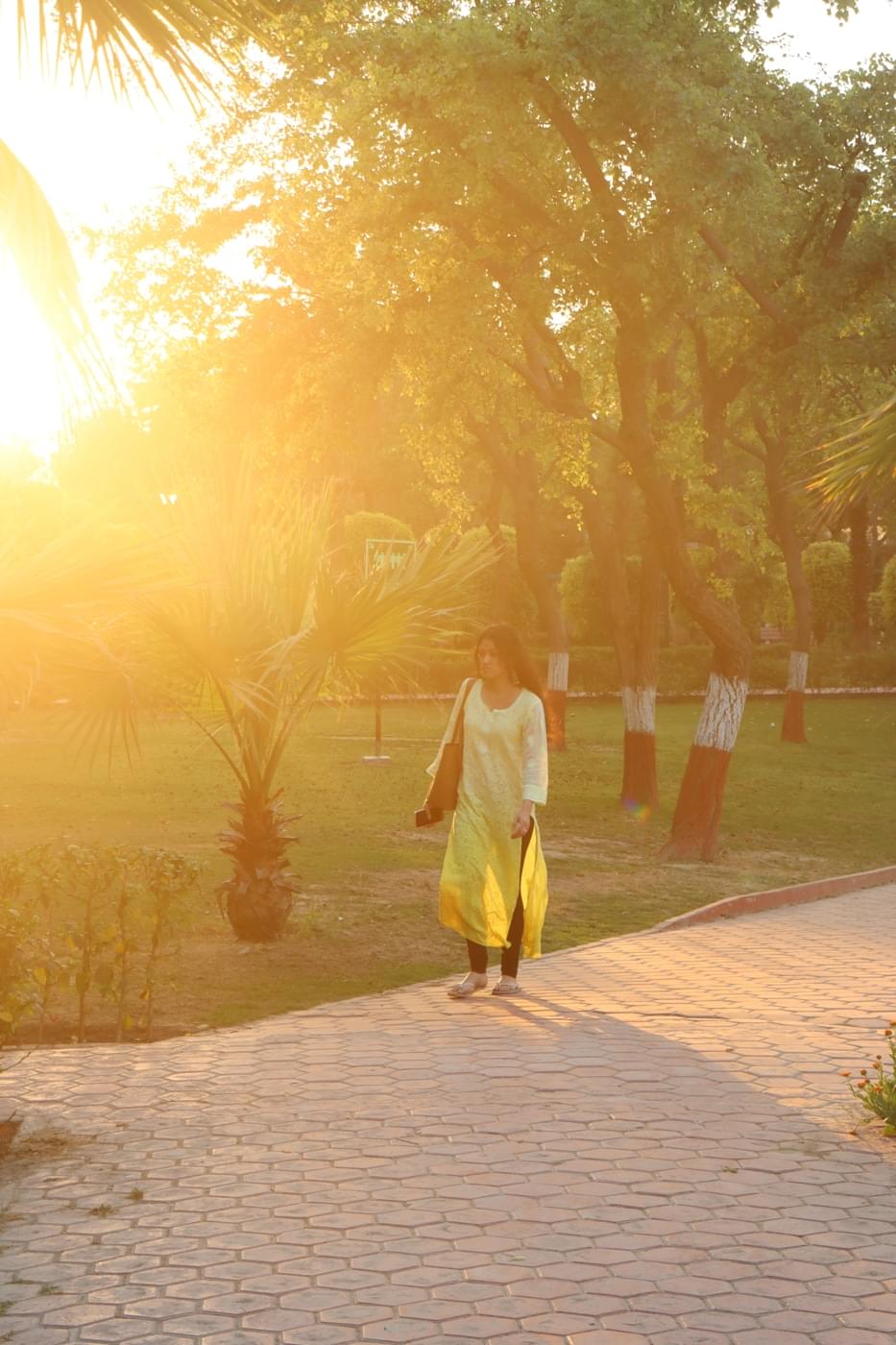 O.P. Jindal Global University Campus photo 167