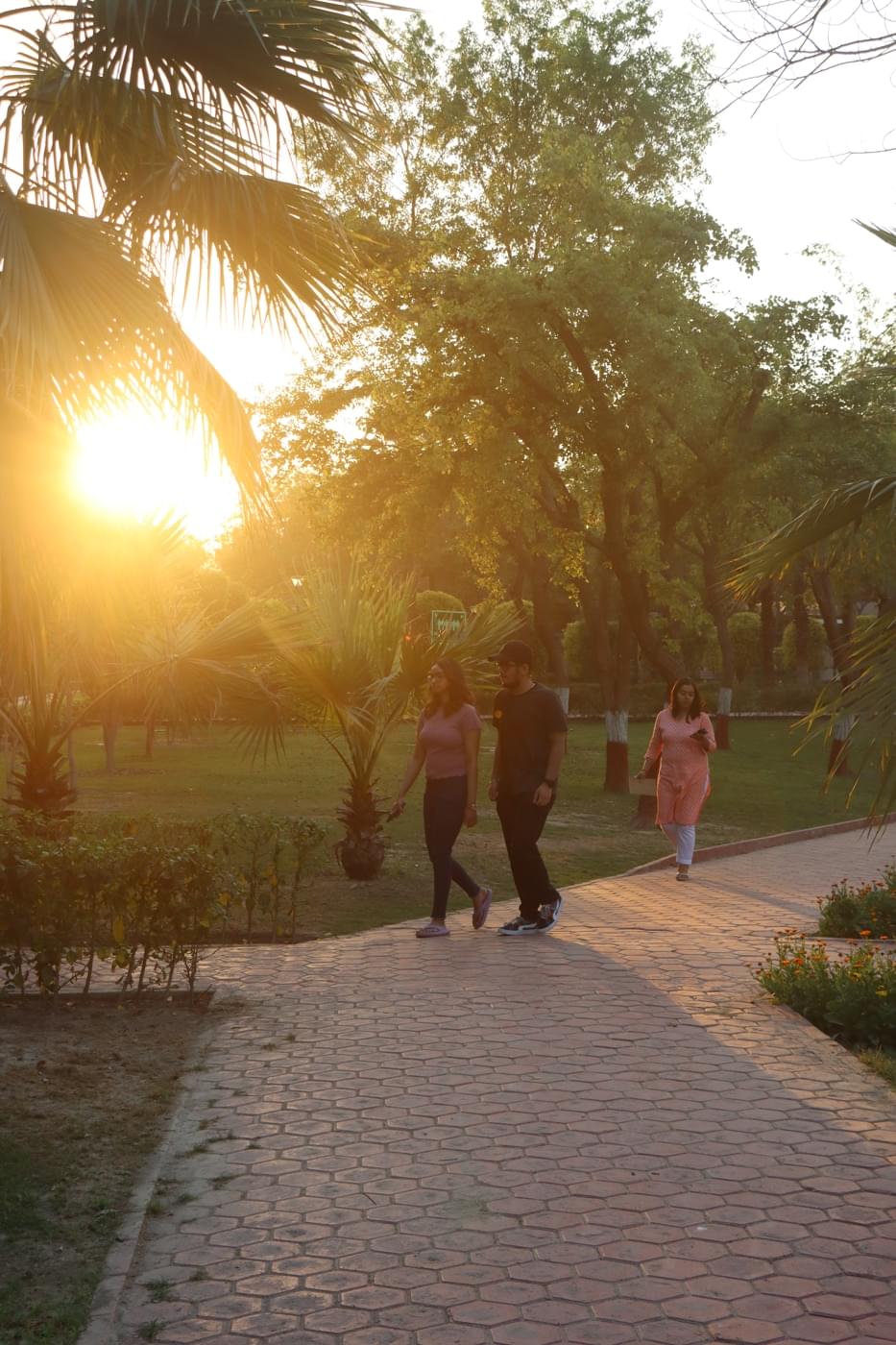 O.P. Jindal Global University Campus photo 168